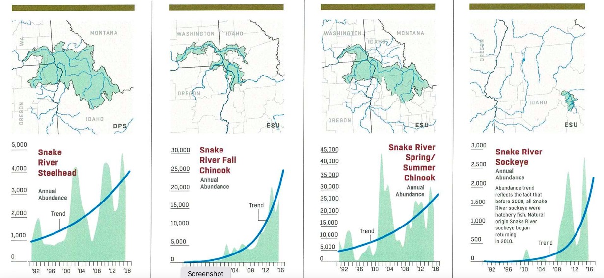 Graphic that puports an exponentially increasing trend for Snake River Salmon and Steelhead (2016 Comprehensive Review by US Army Corps of Engineers, Bonneville Power Administration, Bureau of Reclamation).