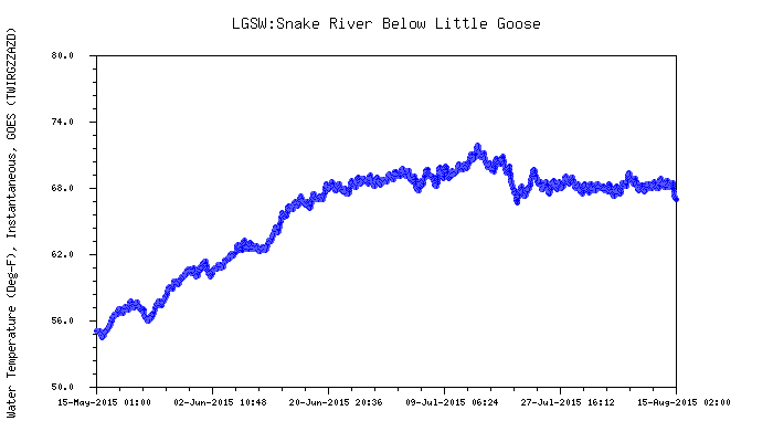 Graphic: Snake River water temperature below Little Goose dam.