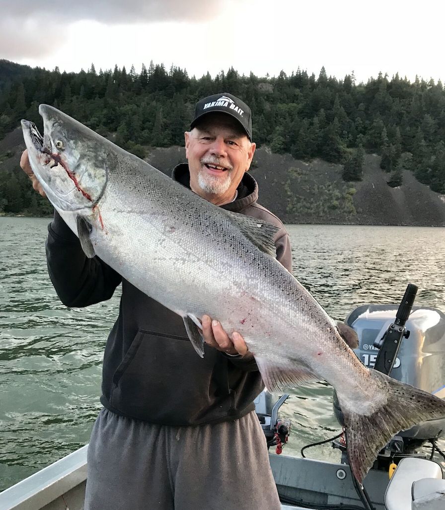 Beautiful, big fall chinook are heading up the Columbia River by the hundreds of thousands right now, giving anglers a chance to catch them in several locations.  The best fishing in the days ahead will be in the Hanford Reach portion of the Columbia near Vernita. (Roger Phillips)