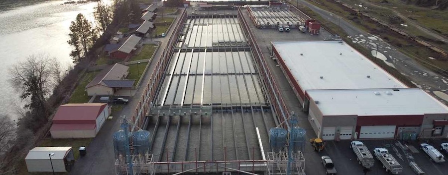 The Clearwater Fish Hatchery and its three satellite facilities comprise the largest hatchery complex constructed by the Army Corp of Engineers under the Lower Snake River Compensation Plan. Construction began in 1986 with the Red River satellite facility and ended in 1991 with the completion of the main Clearwater Hatchery in Ahsahka, Idaho.