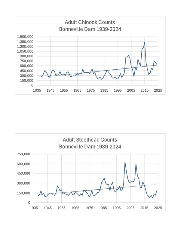 Adult Runs to Salmon and Steelhead (1962-2022) counted at Bonneville dam, the lowest dam (in elevation above sea level) of Columbia Basin salmonids migratory route.