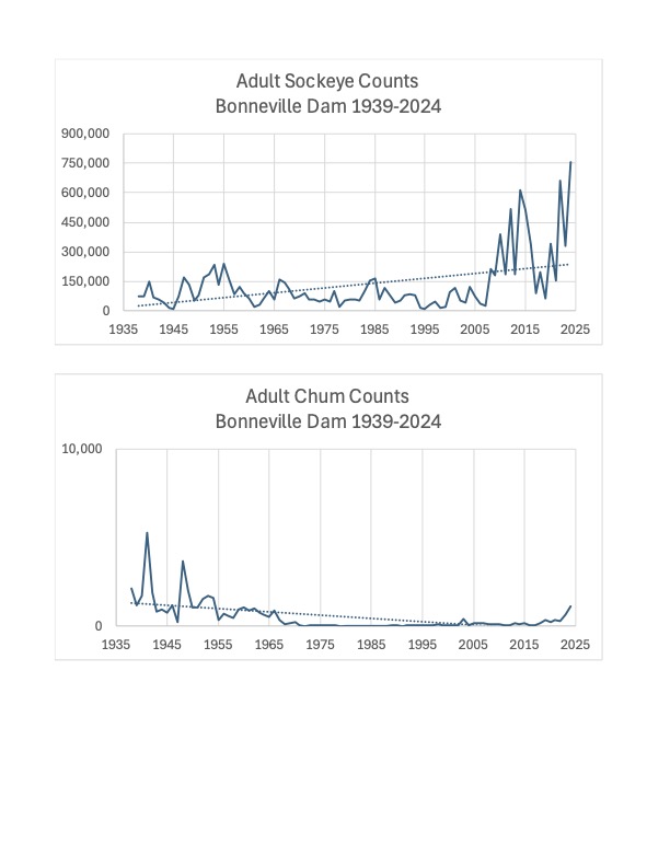 Adult Runs to Salmon and Steelhead (1962-2022) counted at Bonneville dam, the lowest dam (in elevation above sea level) of Columbia Basin salmonids migratory route.