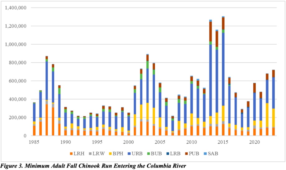 Graph: Minimum adult Fall Chinook run entering the Columbia River are comprised of six major management components: Lower River Hatchery (LRH) – tule stock, Lower River Wild (LRW) – bright stock, Select Area Bright (SAB) – bright stock, Bonneville Pool Hatchery (BPH) – tule stock o Upriver Bright (URB) – bright stock, Mid-Columbia Bright (MCB) – bright stocks, Pool Upriver Bright (PUB), Lower River Bright (LRB)