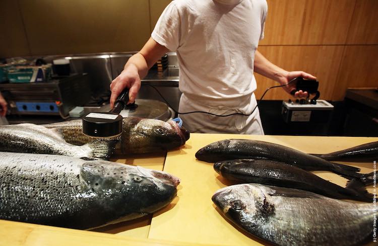 Testing Fish for Radiation in Sushi Restaurant