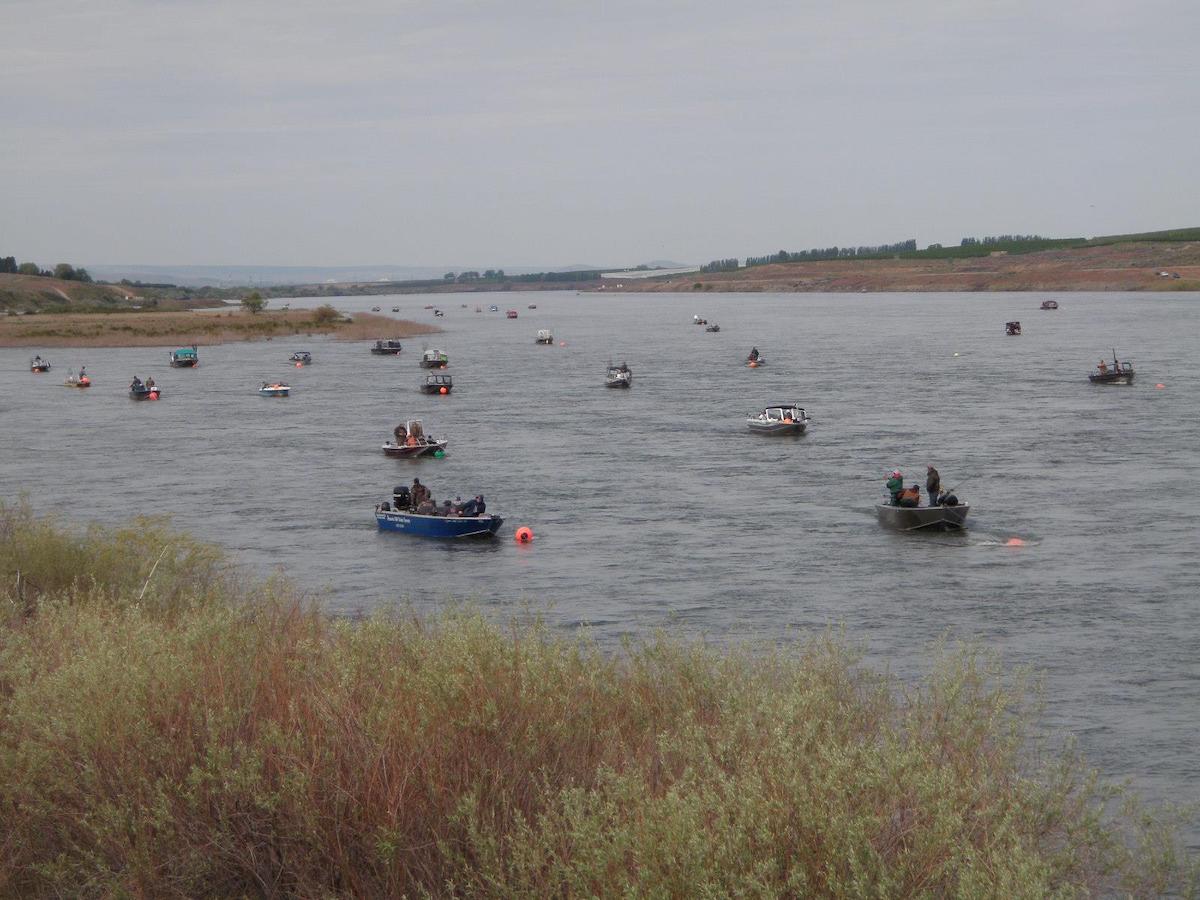 Snake River Spring Chinook anglers during a past season. (WDFW)
