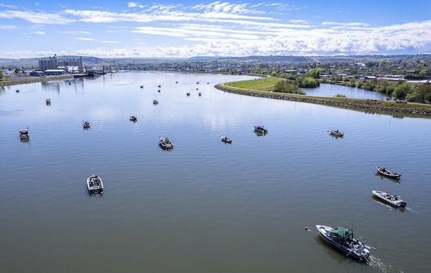 A small fleet of fishing boats cast their lines in the lower Clearwater River during spring chinook season in 2022. (Austin Johnson/Lewiston Tribune file)