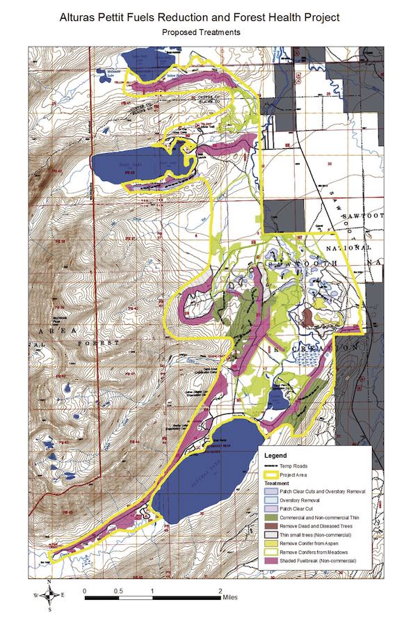 Pine Beetle kill has been problematic in the Sawtooth Mountains, quite possibly related to the decline of salmon and the marine derived nutrients that once arrived in abundance annually.