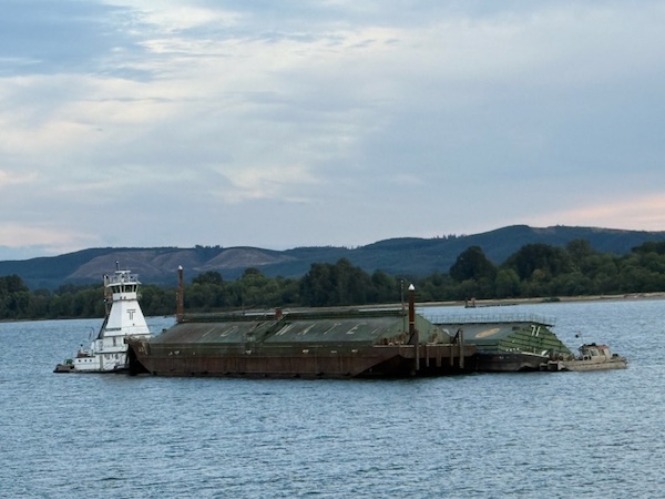 A barge carrying about 3,600 tons of grain took on water over the weekend just south of Kalama in the Columbia River. (Photo contributed by Claralee Brannan)