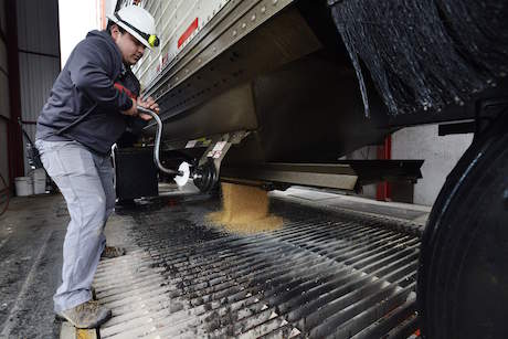 Wheat falls into a grate as operator Pete Veliz opens the bottom of a grain hopper at the United Grain McNary terminal on Monday in Umatilla.