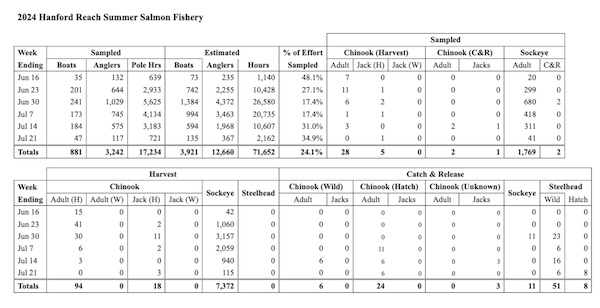 Table: 2024 Hanford Reach Summer Salmon Fishery