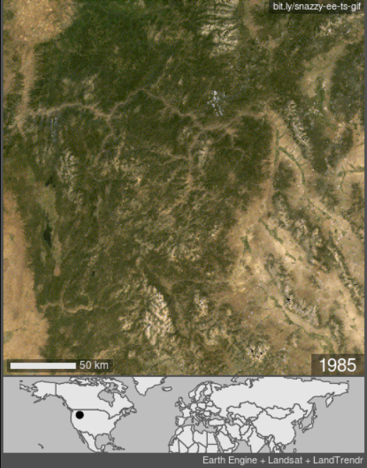 Landsat satellite imagery of Idaho's Salmon River watershed from 1985-2020 reveals deforestation, likely due to the decline of salmon. Boise is in bottom left, Grangeville is top left. The Salmon River zigzags right to left in top third, with tributaries of South Fork, Middle Fork, Main Fork and East Fork coming from below.