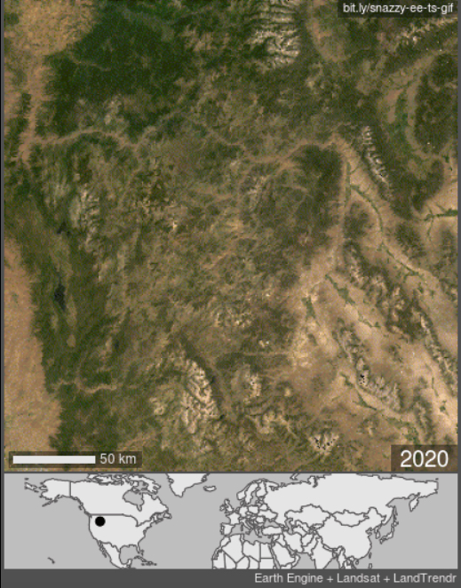Landsat satellite imagery of Idaho's Salmon River watershed from 1985-2020 reveals deforestation, likely due to the decline of salmon. Boise is in bottom left, Grangeville is top left. The Salmon River zigzags right to left in top third, with tributaries of South Fork, Middle Fork, Main Fork and East Fork coming from below.