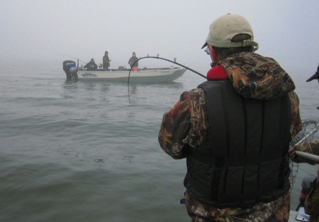 Joe Hymer of Vancouver, Wash., a state Fish and Wildlife biologist, reels in a spring chinook salmon on the Lower Columbia River. (Mark Yuasa)