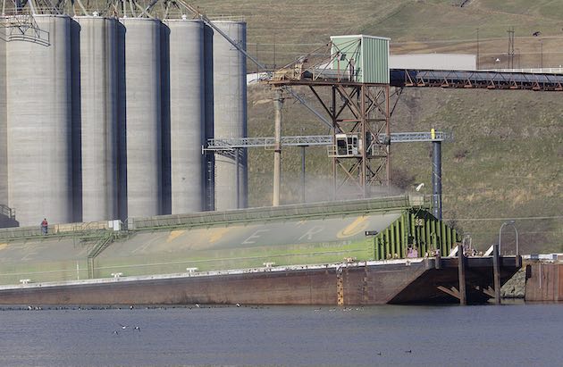 The Port of Lewiston, Idaho, lost oceangoing containers due to events downstream but still has its grain-barge business, which has seen some expansion.