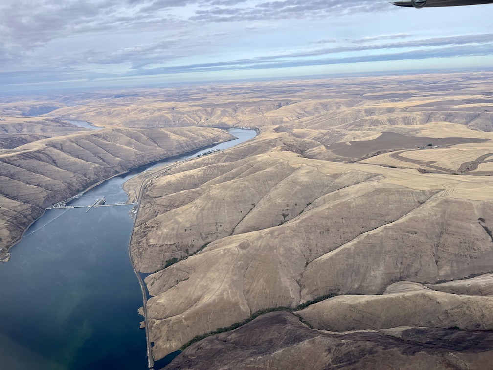 Blue-green algae seen behind Lower Granite dam on the Snake River in 2023. (Credit: Courtney Flatt / NWPB)