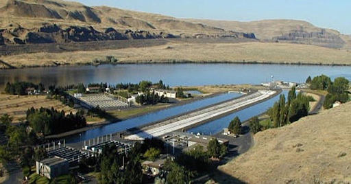 Lyons Ferry Fish Hatchery was built in 1982 by the U.S. Army Corps of Engineers (WDFW photo).