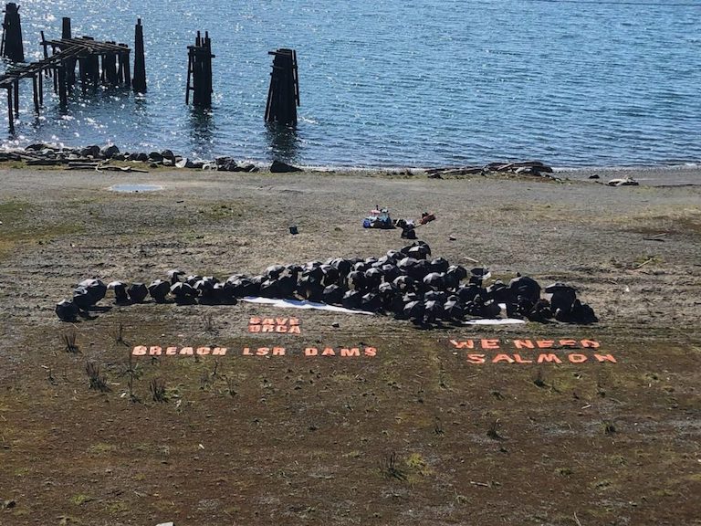 Islanders came together to form an orca mural on Jackson Beach on March 19. Words read 