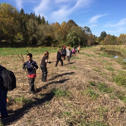 The Clark County Clean Water Restoration Fund distributed nearly $4.5 million to 25 projects on the Columbia River..