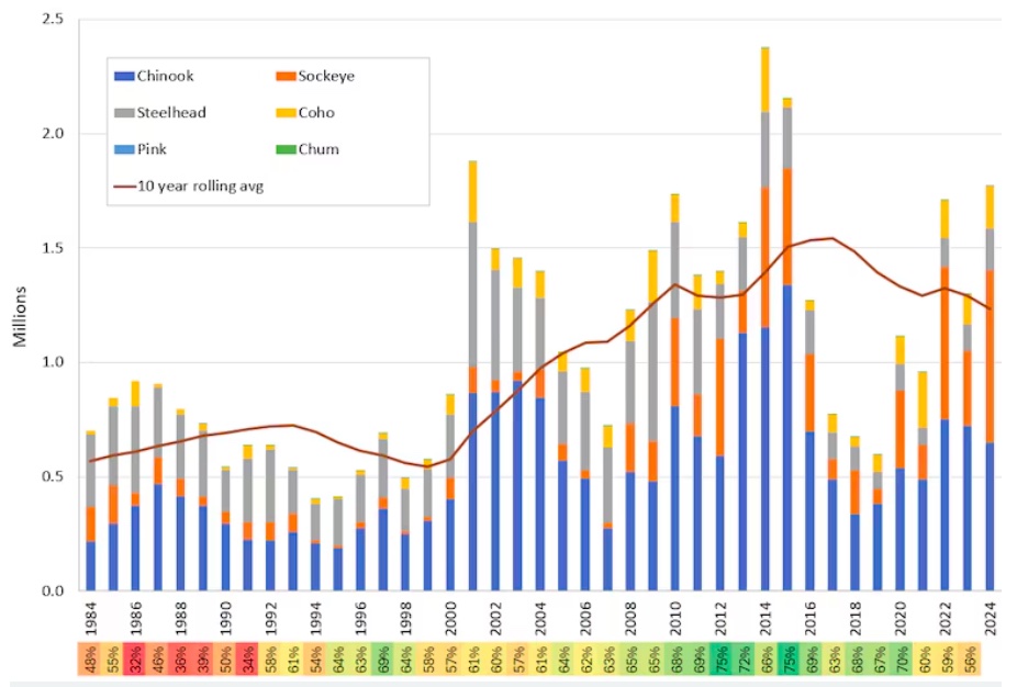 This chart provided by the Northwest Power and Conservation Council shows the total number of salmon and steelhead returns above Bonneville Dam from 1984 to 2024.