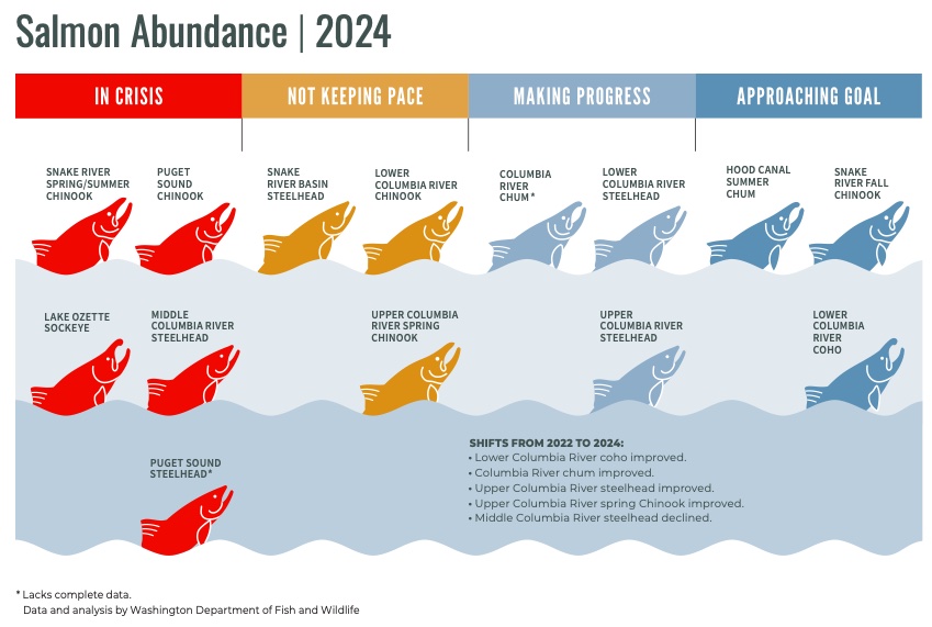 Washington State of SAlmon report finds 'some modest signs of improvement. However, there are still far too many salmon in crisis or not keeping pace with recovery.'