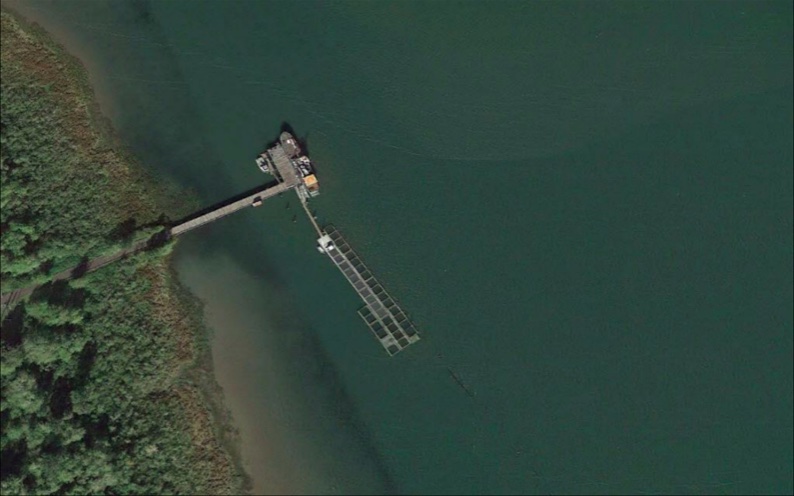 Tongue Point net pen site (BPA 2024 Environmental Assessment)