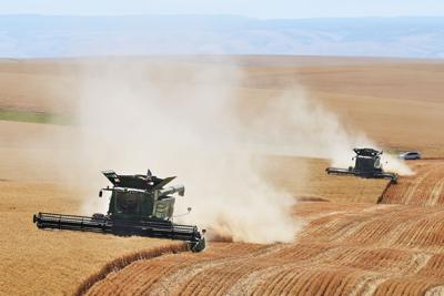 Combines harvest soft white wheat in a field north of Helix, Ore. Wheat prices have increased in recent weeks.