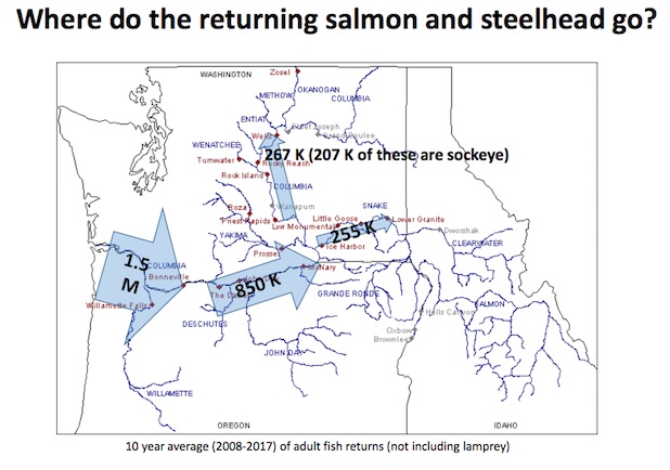 Map: Where do returning salmon and steelhead go in the Columbia River Basin. (Tony Grover presentation to NW Power & Conservation Council