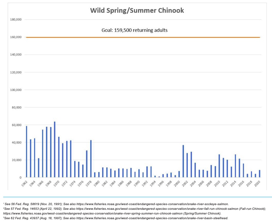 Graphic: Adult return of Wild Steelhead published in 'Policy Recommendations from Idaho Governor Brad Little's Salmon Workgroup' December 2020.