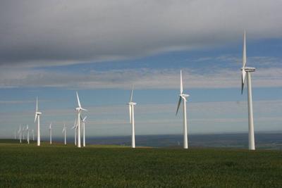 Wind turbines line a ridge in a wheat field north of Helix, Ore. A Colorado company proposes to put up to 244 turbines on farmland to the north in Benton County, Wash.