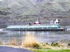A Tidewater grain barge became stuck Dec. 19 on the Snake River near the Port of Clarkston in Clarkston, Wash. Two tugboats worked to free the full barge for more than four hours, according to port manager Wanda Keefer. The U.S. Army Corps of Engineers is awaiting further information from Tidewater before taking action.