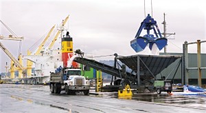 (Bill Wagner) Chilean salt pours from a clam shell bucket that carried it from the ship, while the conveyor loads a truck that will take it to a storage shed at the Port of Longview. From there, it's shipped by rail to Canadian pulp and paper mills.