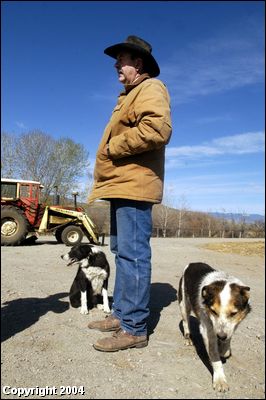 (Joe Jaszewski) When Salmon rancher Bruce Mulkey's father, an avid salmon fisherman, died in 1988, Bruce launched a grass-roots campaign among his neighbors to help salmon runs by flushing more water downstream. With current drought conditions in the Lemhi Valley, streams are drying up and salmon are dying because the water is being used for irrigation.