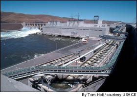 Tom Holt: A fish ladder stretches around Little Goose Dam in Washington.