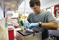 (Molly Van Wagner) In a trailer at Little Goose Dam, researcher Geoff McMichael inserts a transmitter into the abdomen of a young chinook.