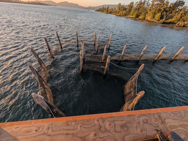 Anglers will see improved salmon fishing on the central Oregon Coast and ample opportunities in the Columbia River despite a downturn in 2018 forecasts.(Bill Monroe)