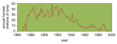 Millions of Tons of Salmon Harvest(source: Preserving Salmon Biodiversity, by Levin & Schiewe, American Scientist, May/June 2001)