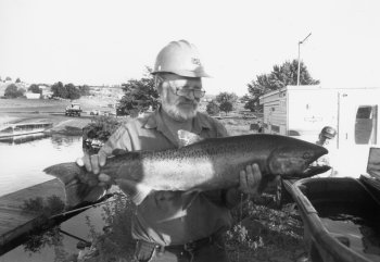 Snake fall chinook getting the once-over.