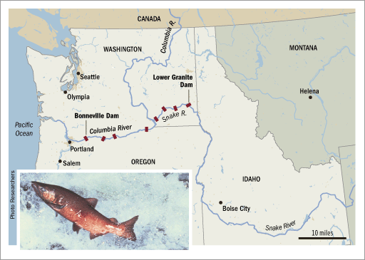 Map of dam obstacles owned and operated by the federal government