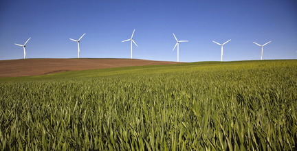 The Biglow Canyon wind farm near The Dalles. (beautiful full size on original Oregonian site