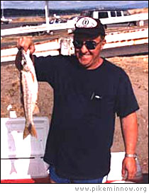 Pikeminnow and Sport Reward Fishing