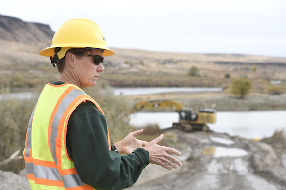 Deepening a stretch of river and planting more than 18,000 trees on Bayha and Wright islands near Walter's Ferry, Idaho Power is providing shade to a section that has a tendency to heat up during the summer.