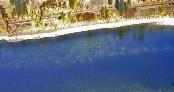 Salmon nests, known as redds, in the Clearwater River. Fall 2013 saw a record number along with an equally record number of returning salmon.