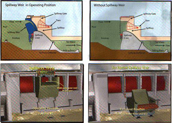 Schematic of Removable Spillway Weir