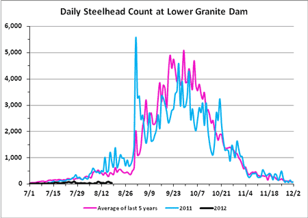 Graph of adult Steelhead migration over Lower Granite Dam