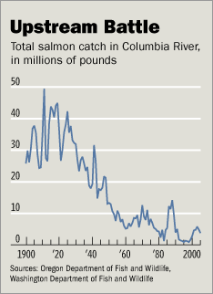 Salmon Harvest statistics for the past century