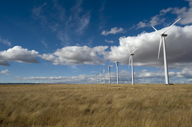 (Steven Lane) Hundreds of wind turbines rise from the dryland wheat country of eastern Klickitat County, where wind farms are permitted outright under county zoning.