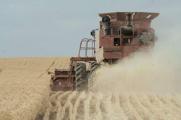 A high-level U.S. Wheat Associates officials says the industry must keep up its pressure on the Trump administration to re-enter the Trans-Pacific Partnership trade agreement. Nearly 90 percent of the wheat grown in the Northwest is exported to Pacific Rim customers.