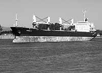 Environmentalists are appealing a federal court decision allowing federal agencies to begin deepening the Columbia River shipping channel. The project is aimed at accommodating bigger ships such as this wheat cargo ship anchored off the Port of Vancouver Aug. 4