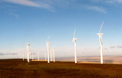 The Vansycle Ridge Wind Farm in  northeastern Oregon was the Northwest's first operating  wind project. Now, the Northwest Power and Conservation  Council wants to examine issues surrounding a big expansion of regional wind power. (Photo by Mark Ohrenschall)