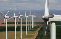 Wind turbines continue to sprout up in the Northwest